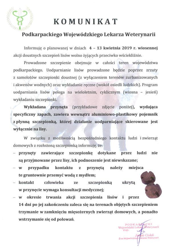 szczepienie wiosna 2019.png